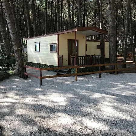 Kemping Village Mare Pineta